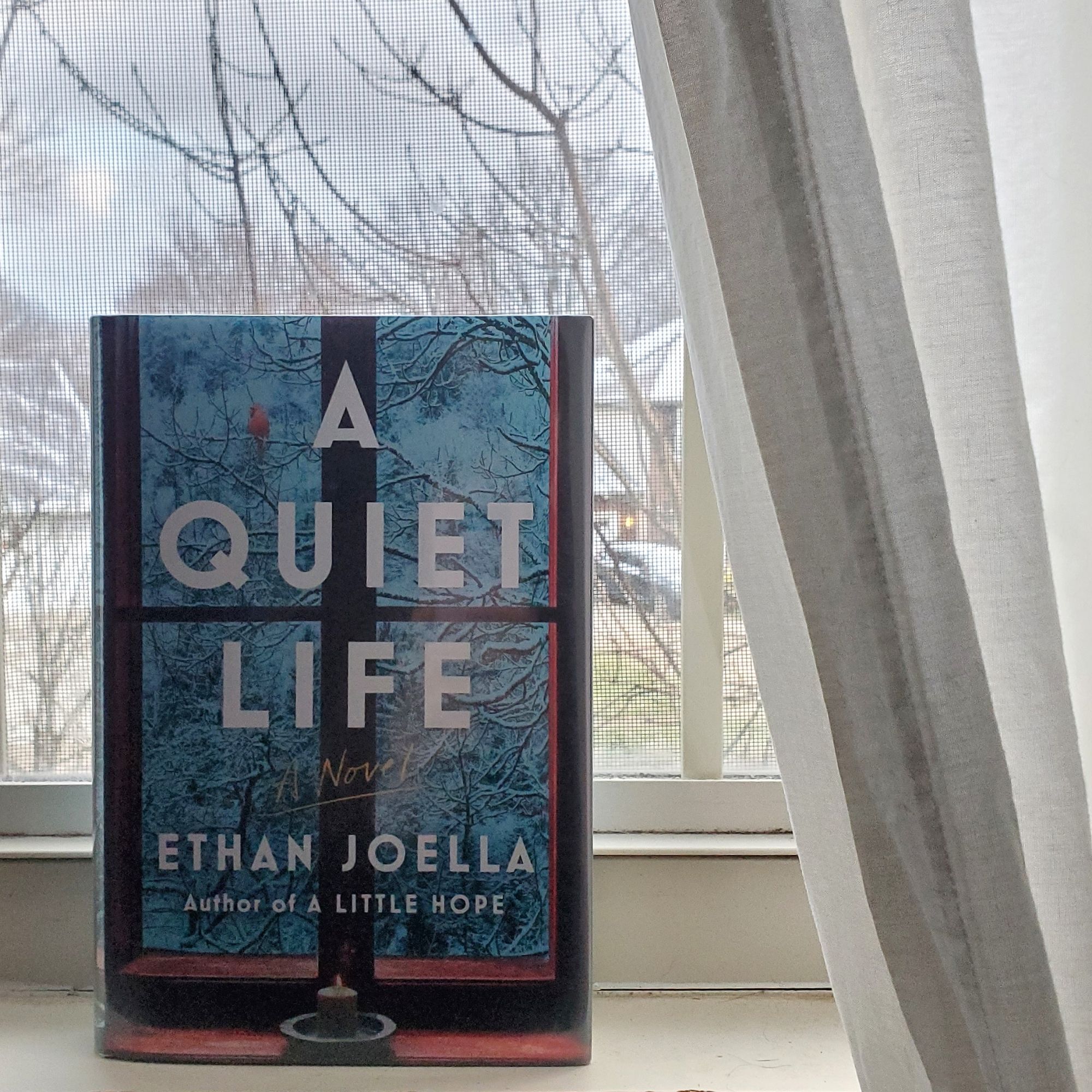 Book Review A Quiet Life by Ethan Joella That Bookish